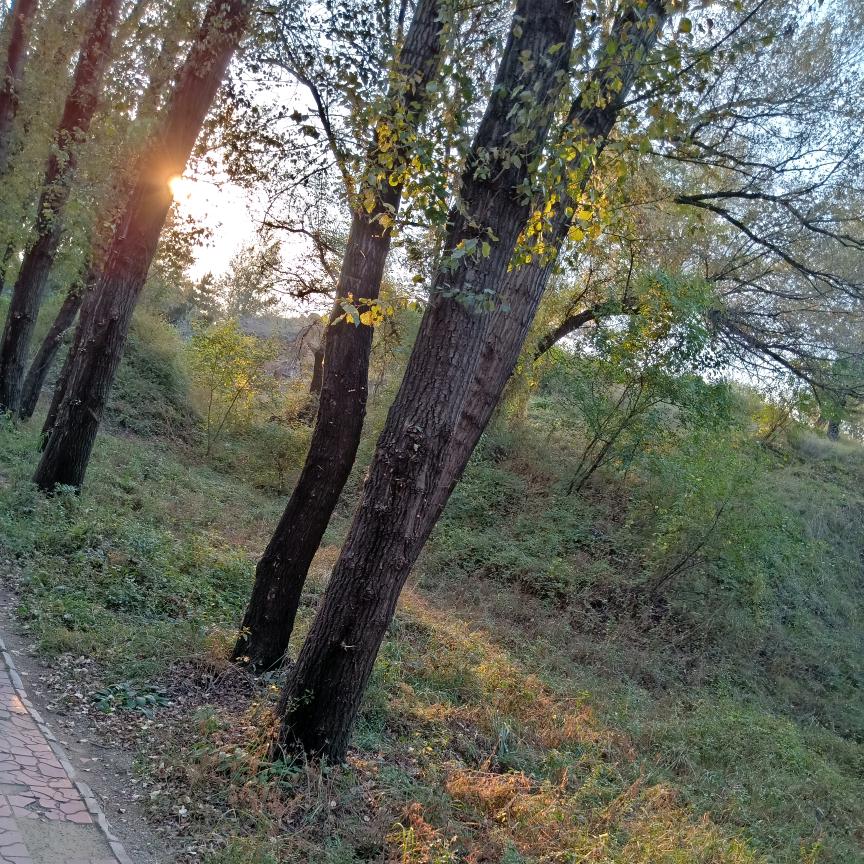 览万千世界 品美好生活