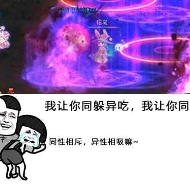 别重置了好不？