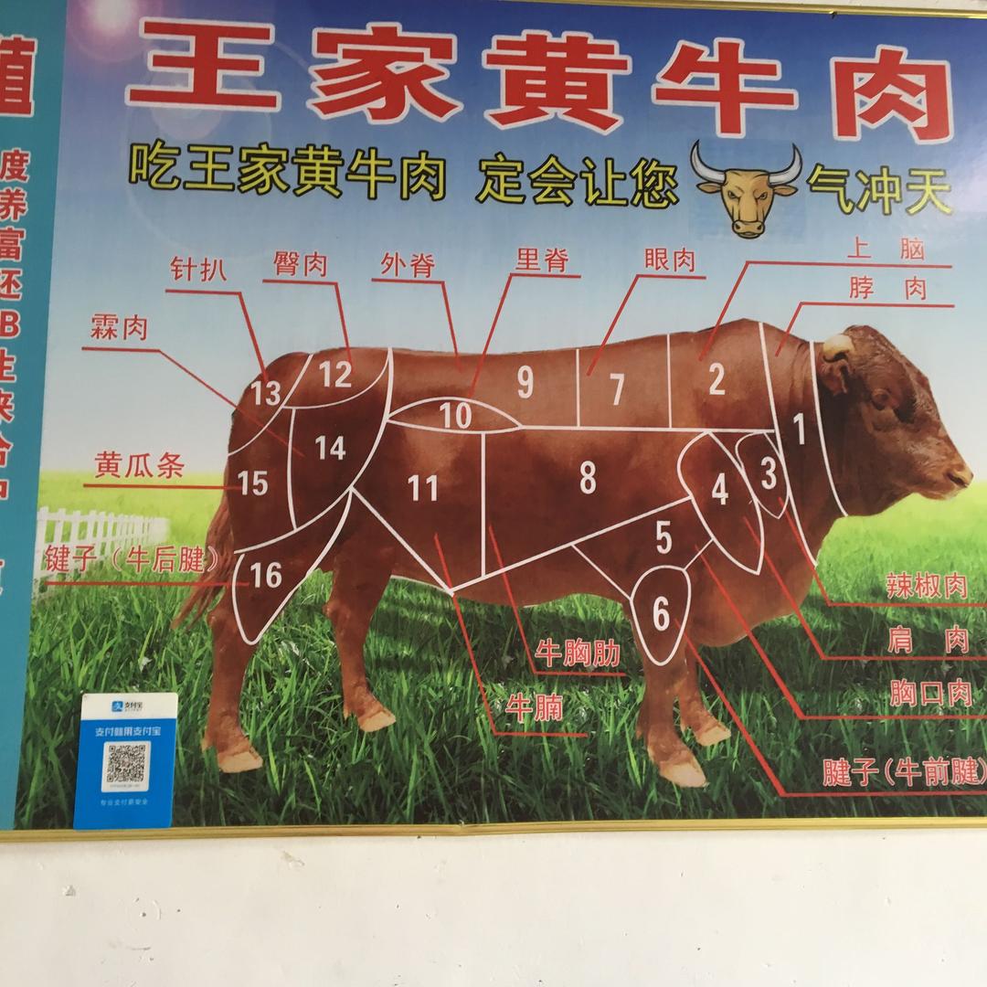 王家正宗黄牛肉 王晶晶