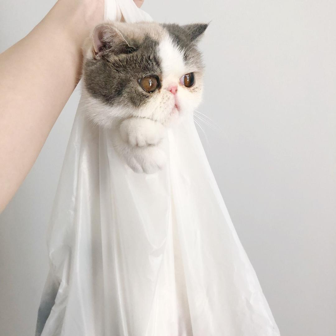 邻家小鲜女@抖音