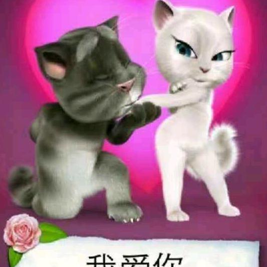 中原一剑东哥