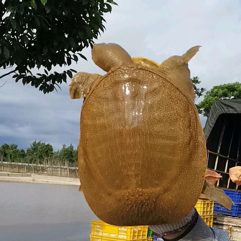 常龙水产经营部.