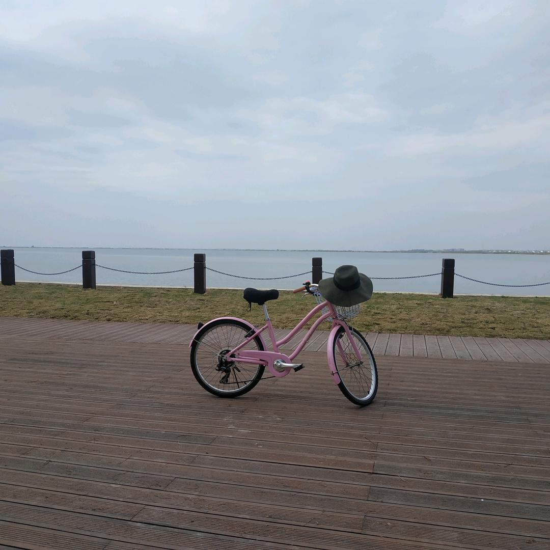 花生生