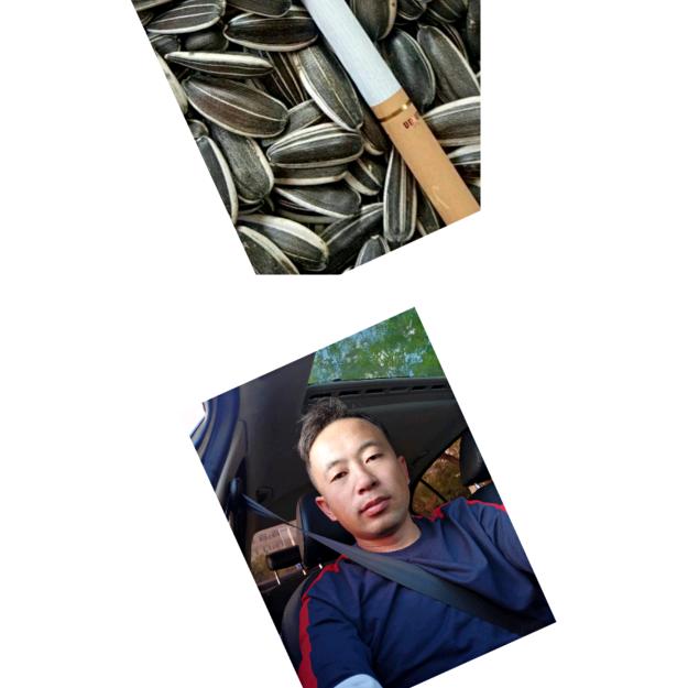 内蒙古朝日昇商贸（瓜子）