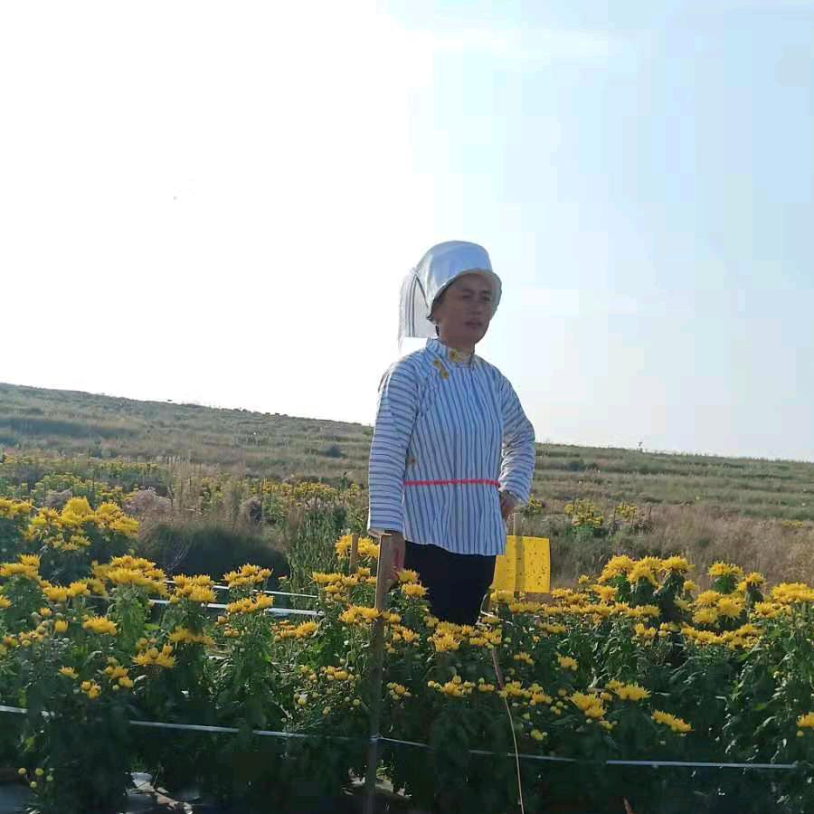 春夏秋冬123
