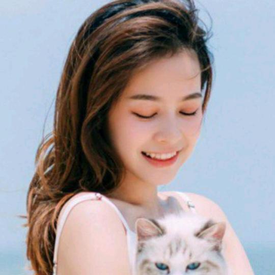 我的任性你不懂