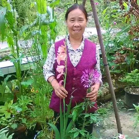 老妈妈
