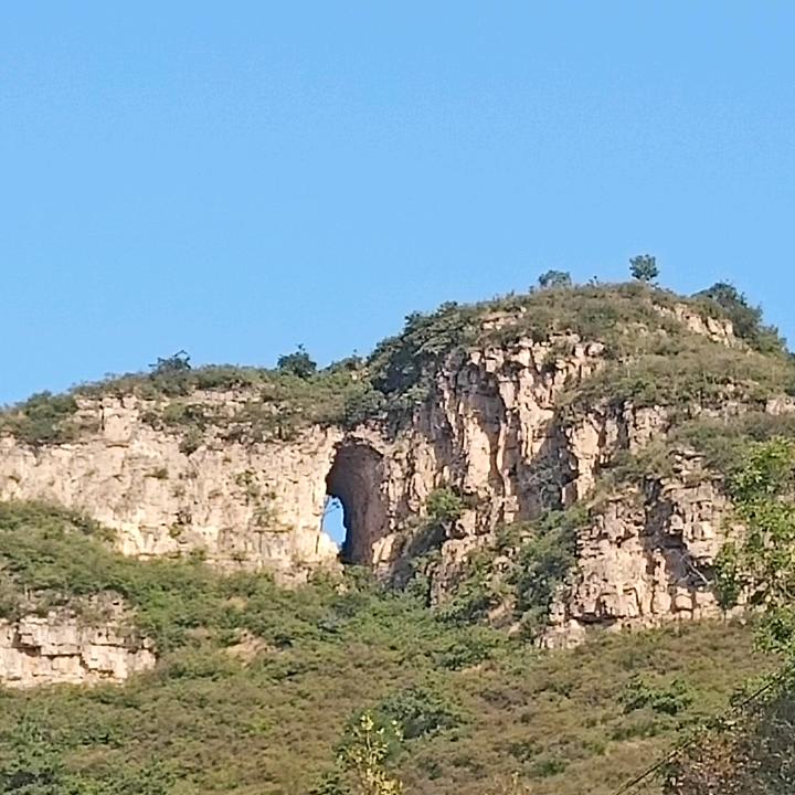 沐光拾忆者