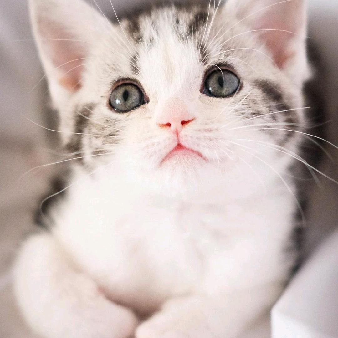 热•爱•生•活