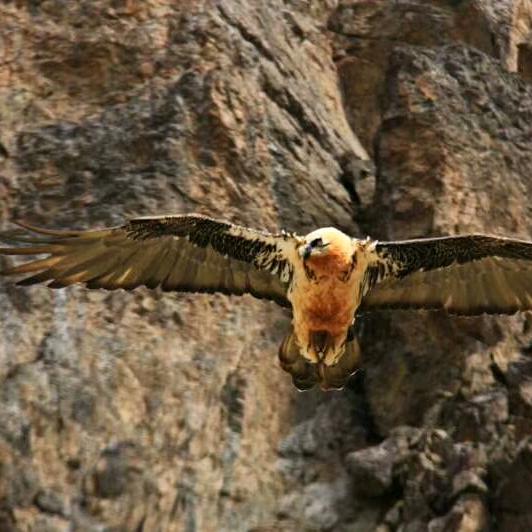 新疆旅行—大海