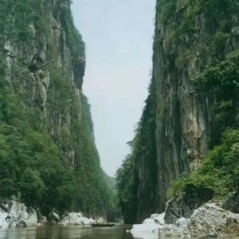 随缘