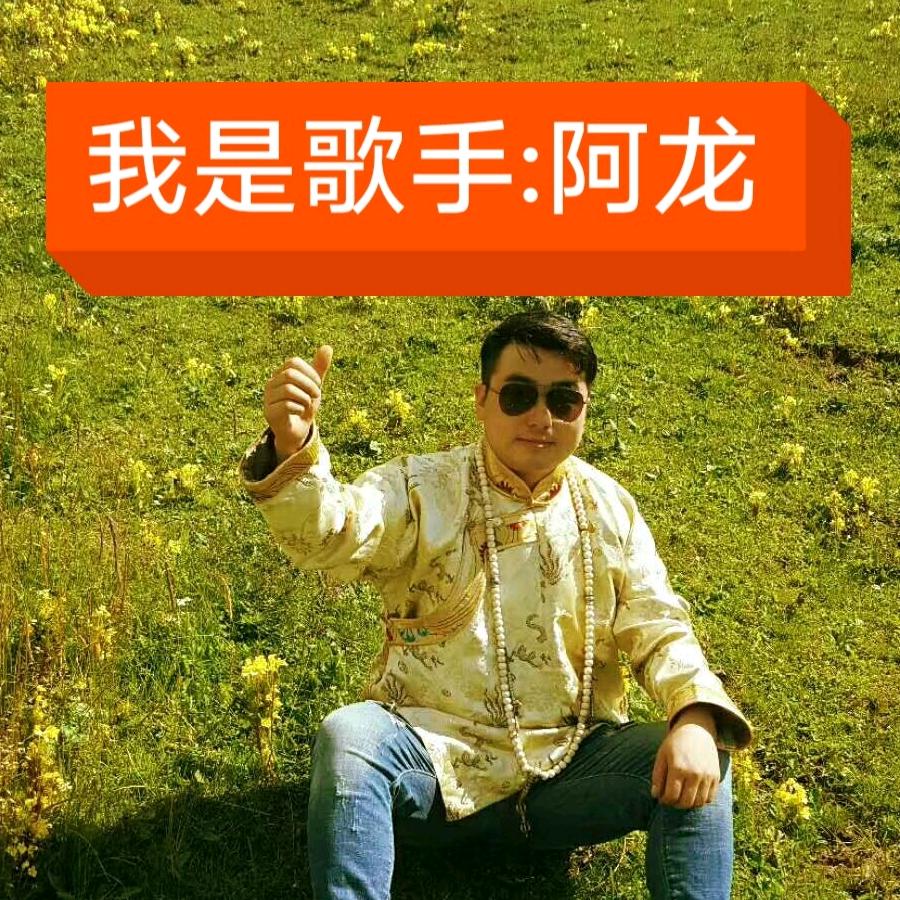 藏音之梦:阿龙