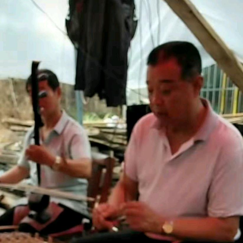 秦韵