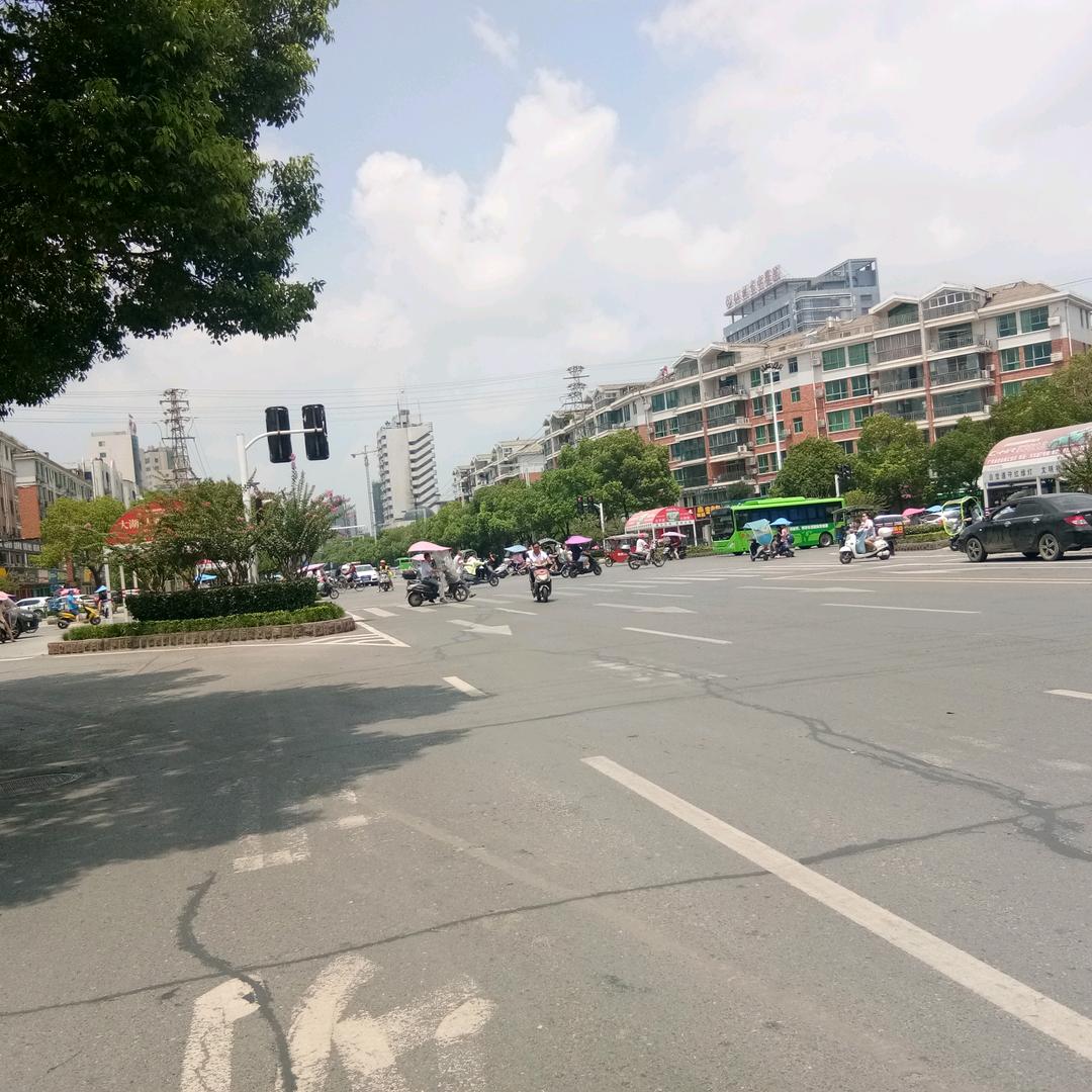 专业灭鼠