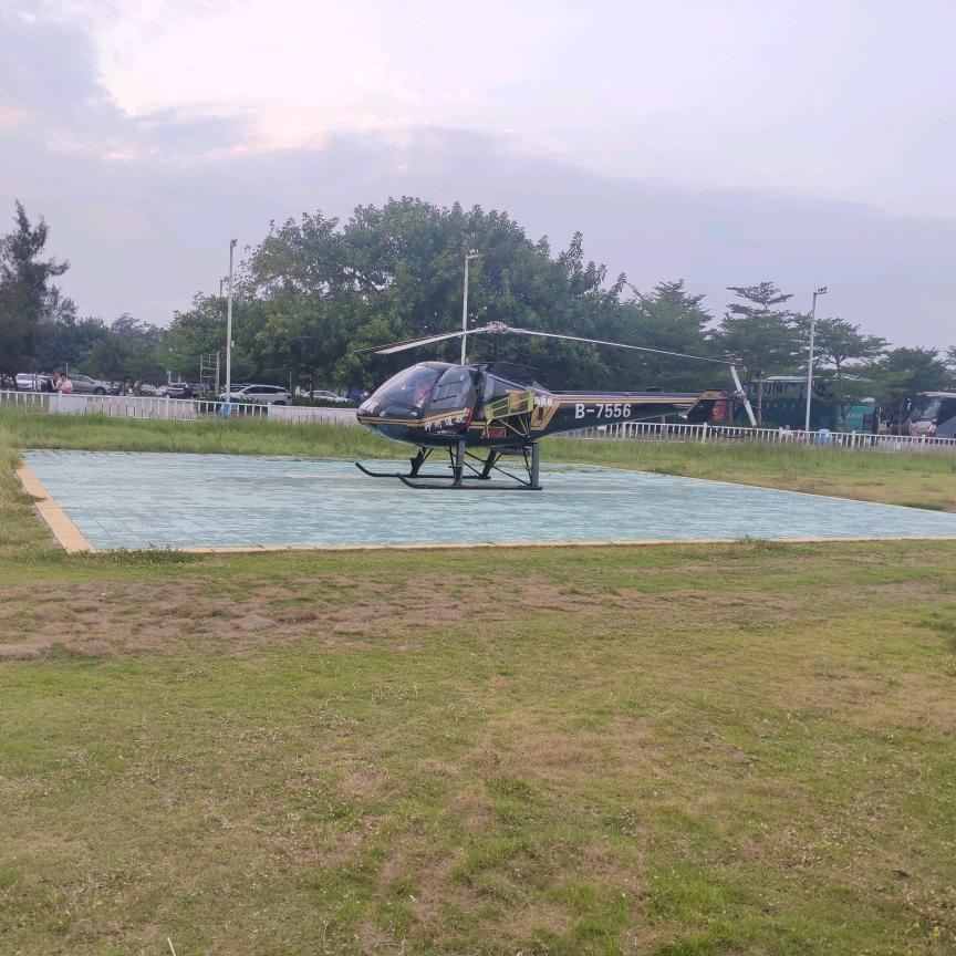 五指毛桃牛大力