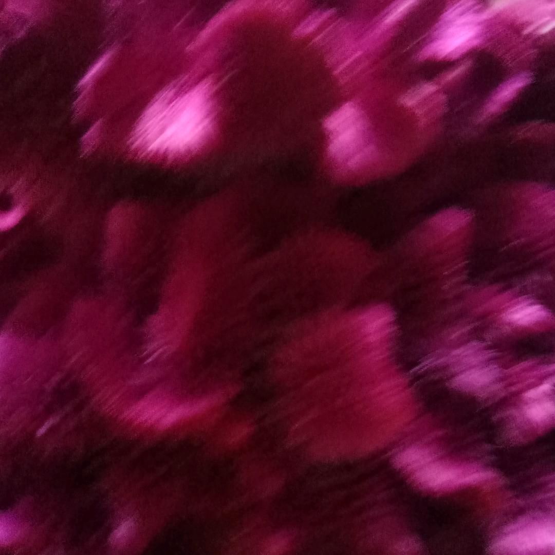 莲花