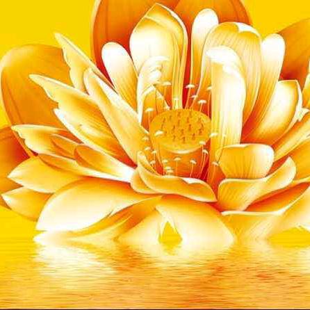彩运连连多☀
