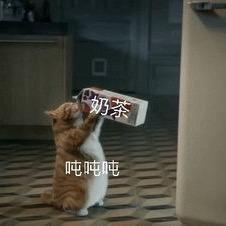 热心市民渣渣辉