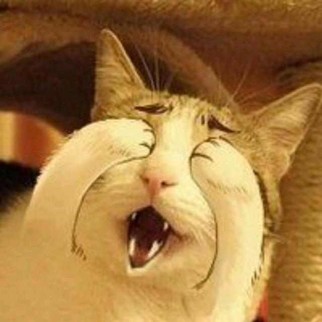 这个手刹不太灵