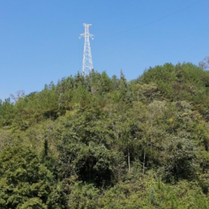 用户6978673469182