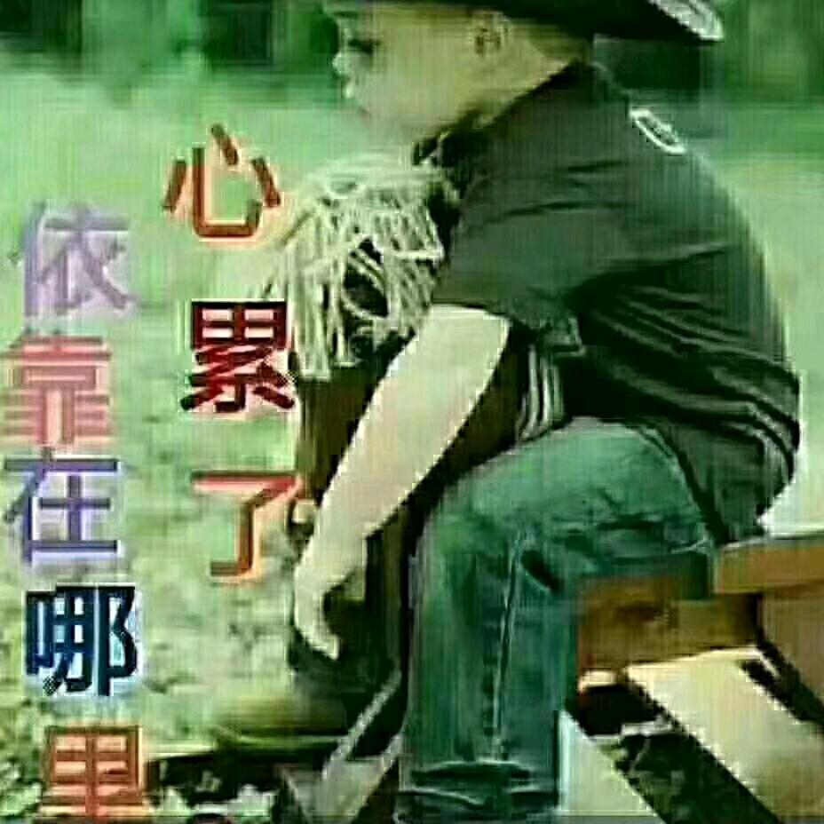 北雁南飞