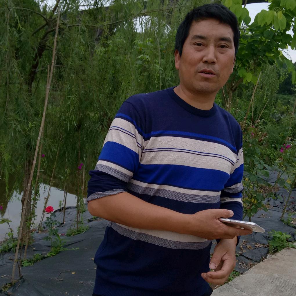 放羊姐黑山羊养殖基地