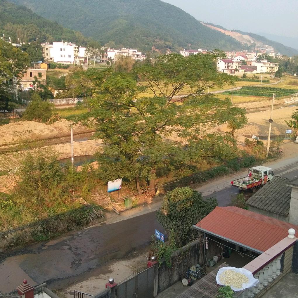 阿洪