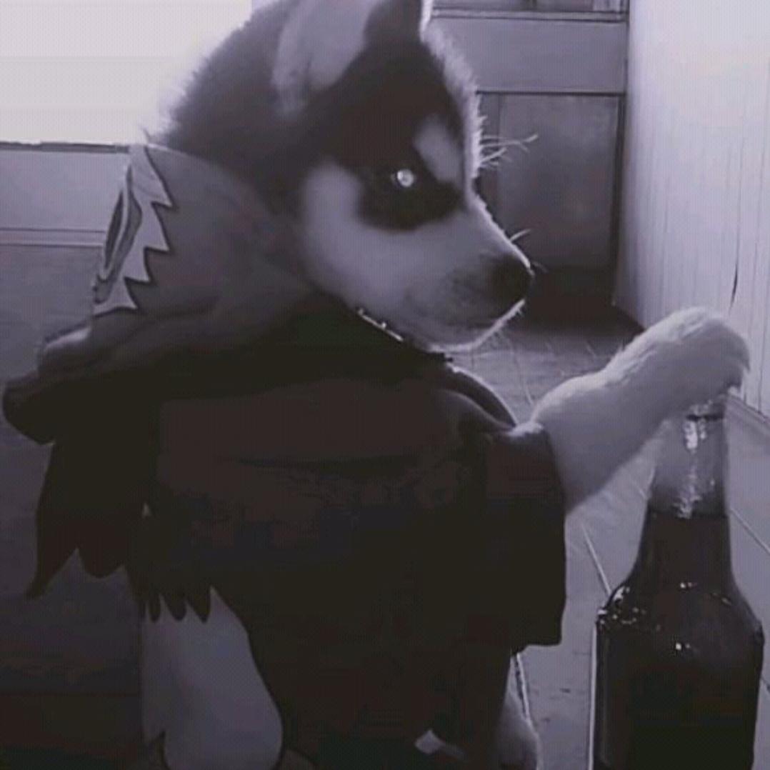 林北(づ ●─● )づ