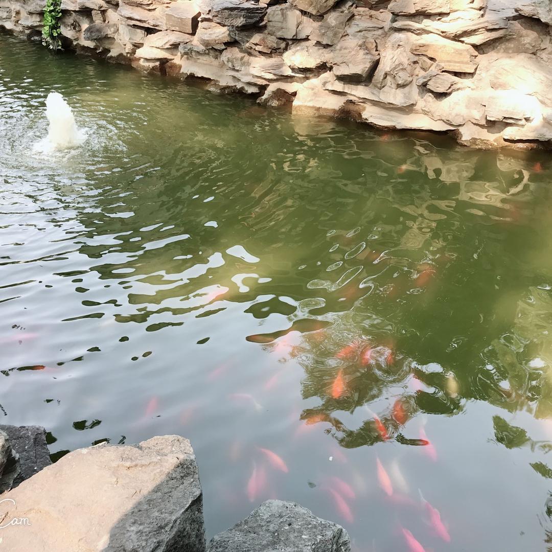 武汉贝贝熊海林店