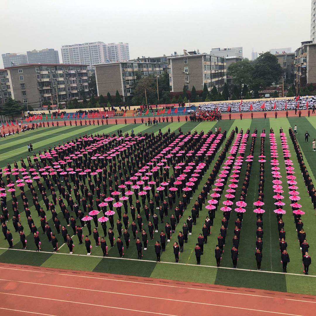平阳老杨