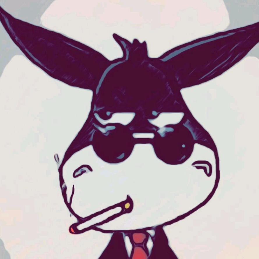 ^小毛驴~