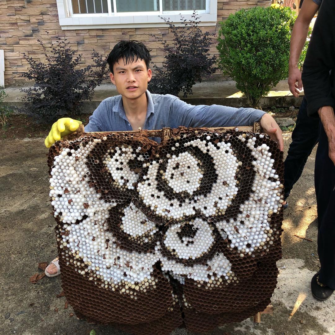 户外榜山华哥