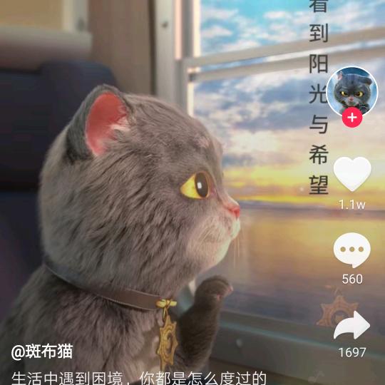 股道重生