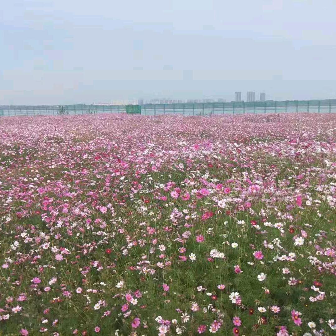 用户4646661201320😜🤪?