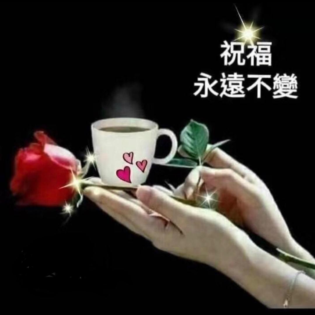 🍊橙