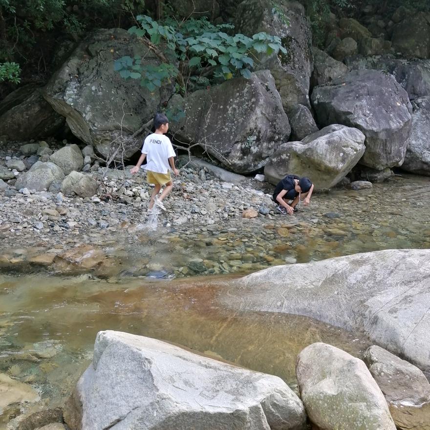 高丽丽