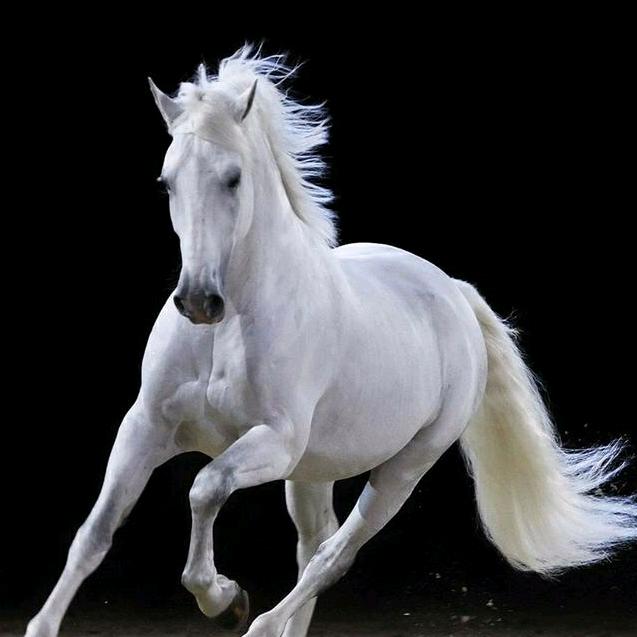 钱多多大型农机合作社