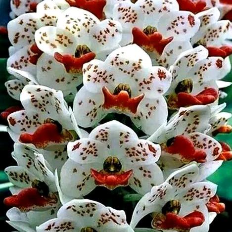 幸福一生永远好