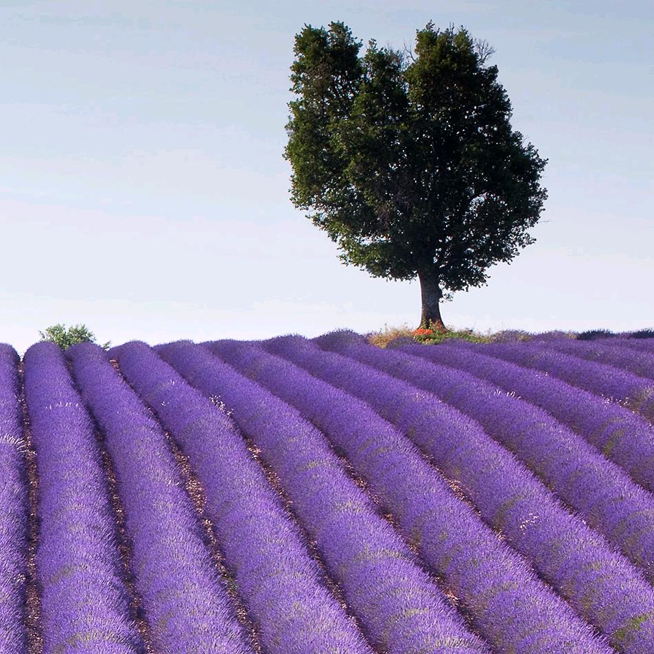 四川大周爱运动