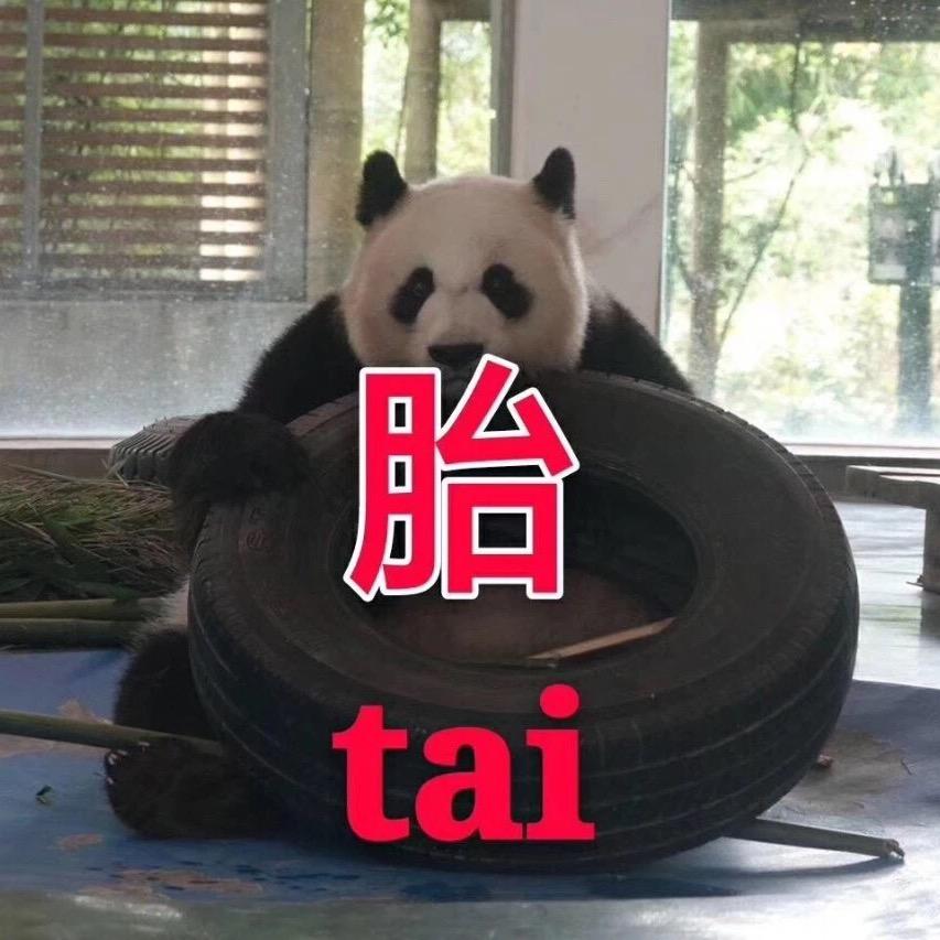 上海辉驰轮胎