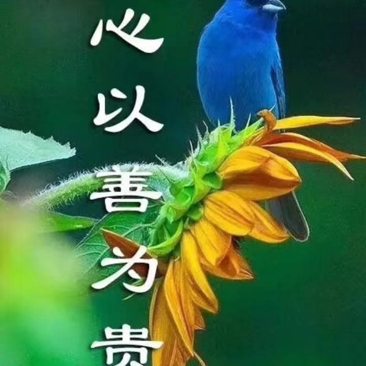 三哥出租挖机铲