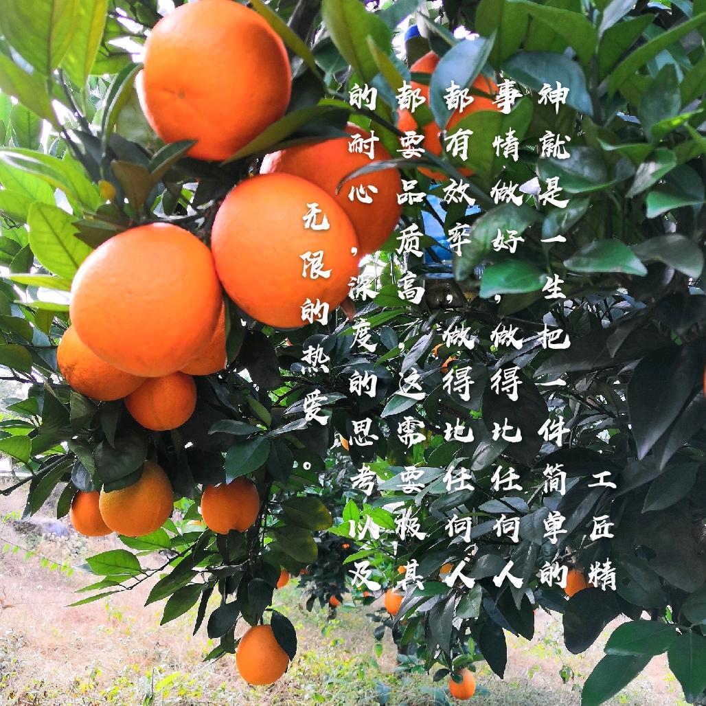 厚发生态农场