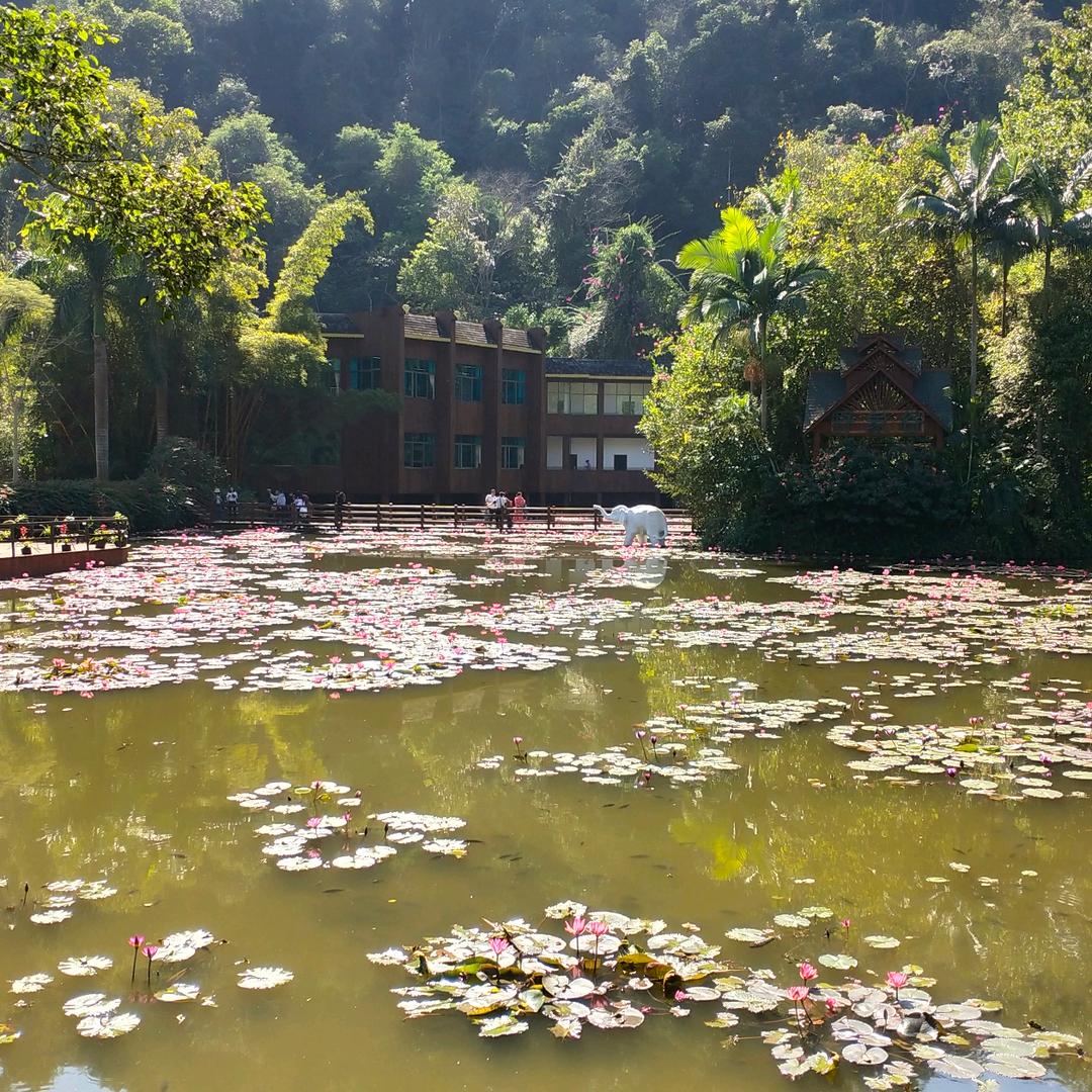 美丽的存在（拒绝私聊）