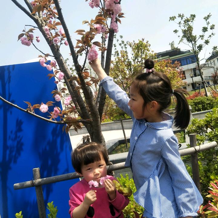 唐荣妹
