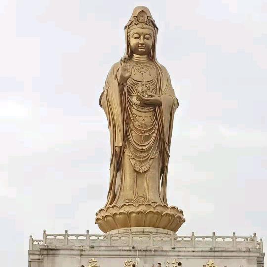 真心真意