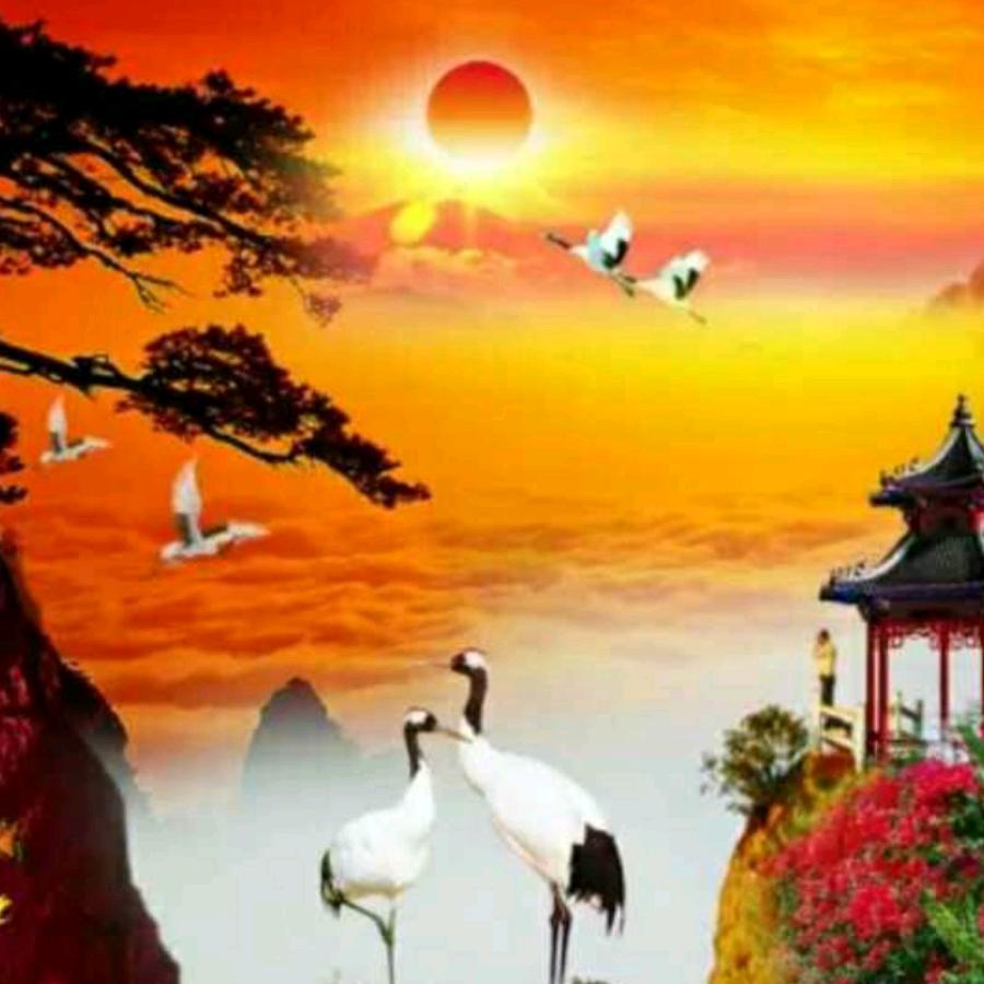 育明