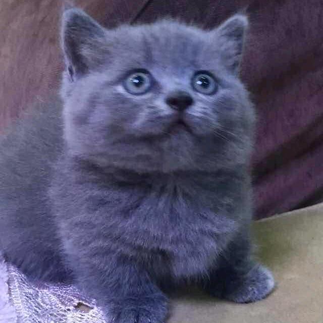 🌸香宝美歌💖💃🥂