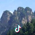 陈中