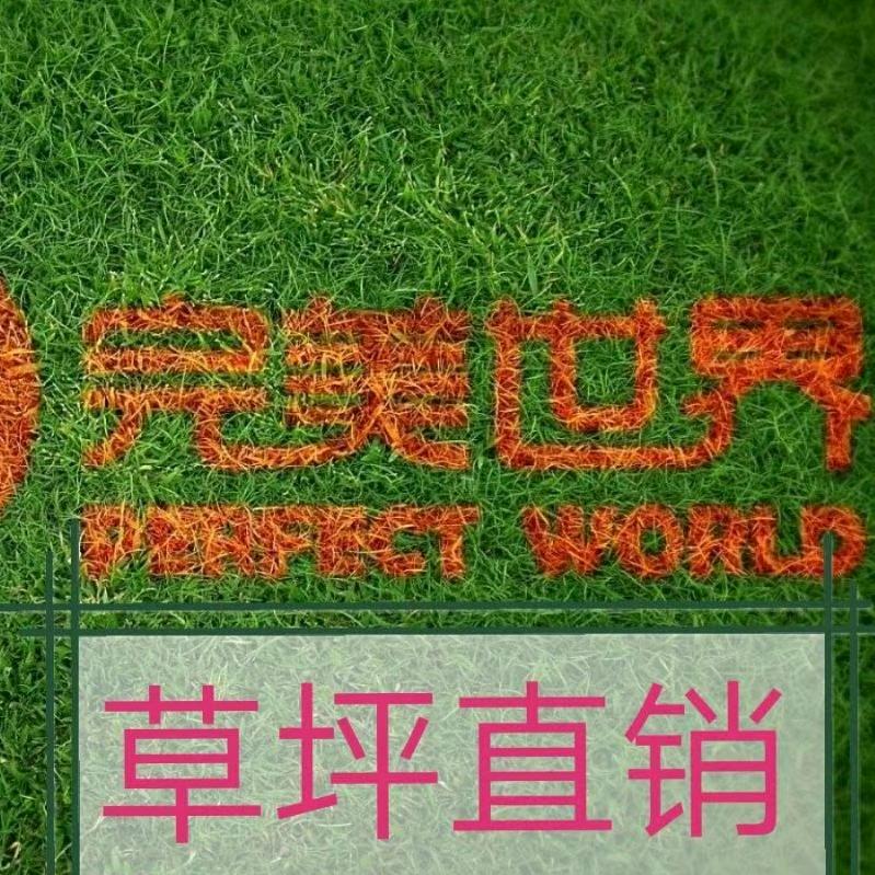 你陪我余生我宠你到老！