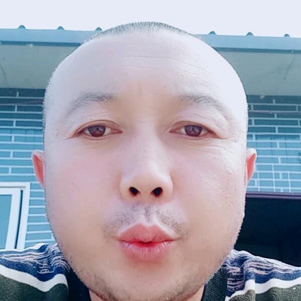 下山虎